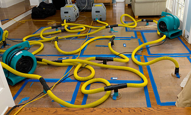 Professional Burst Pipe Water Damage technician working in Clayton, NM